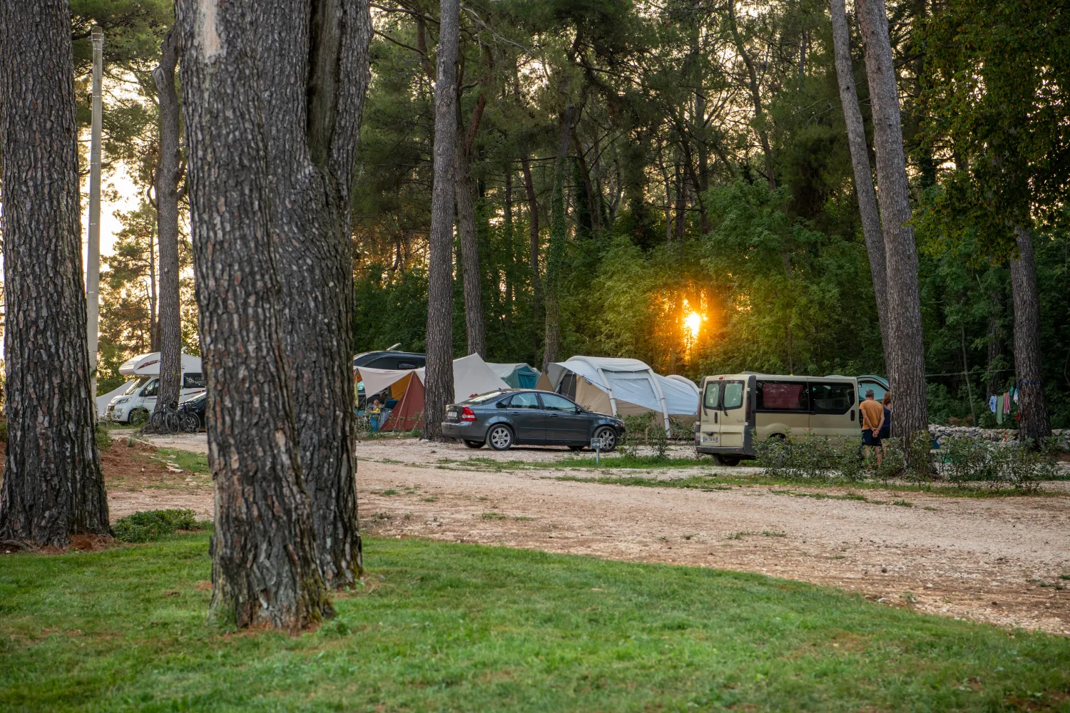 camp-dvor-barban-gogsu