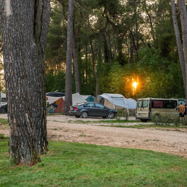 camp-dvor-barban-gogsu