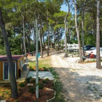 camp-dvor-barban-krszo