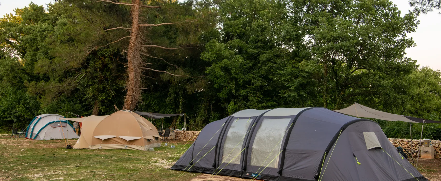 Camp Dvor