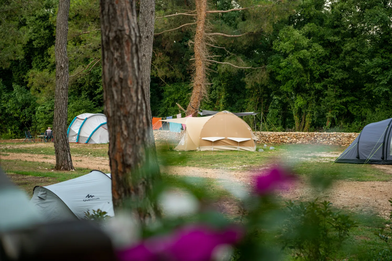 camp-dvor-barban-nd3cx