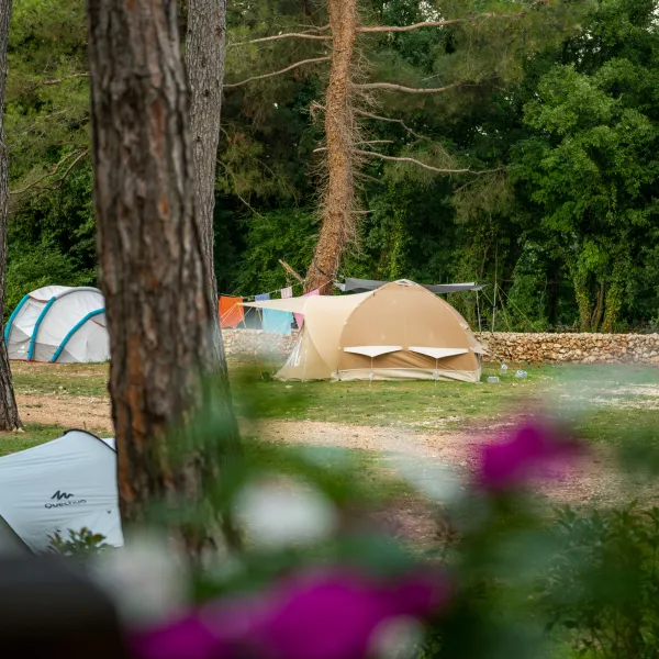 camp-dvor-barban-nd3cx
