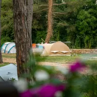 camp-dvor-barban-nd3cx