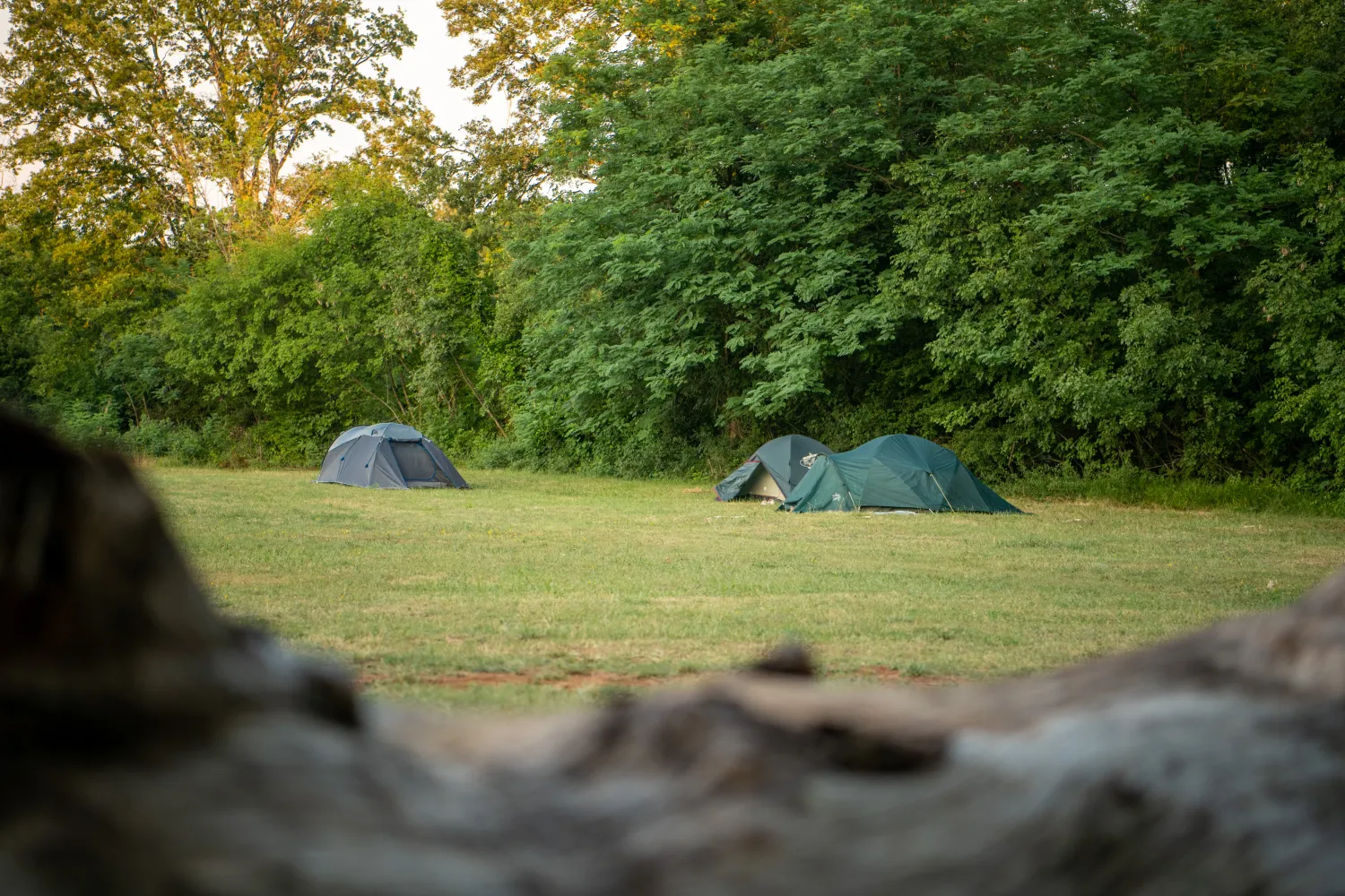 camp-dvor-barban-tl6re
