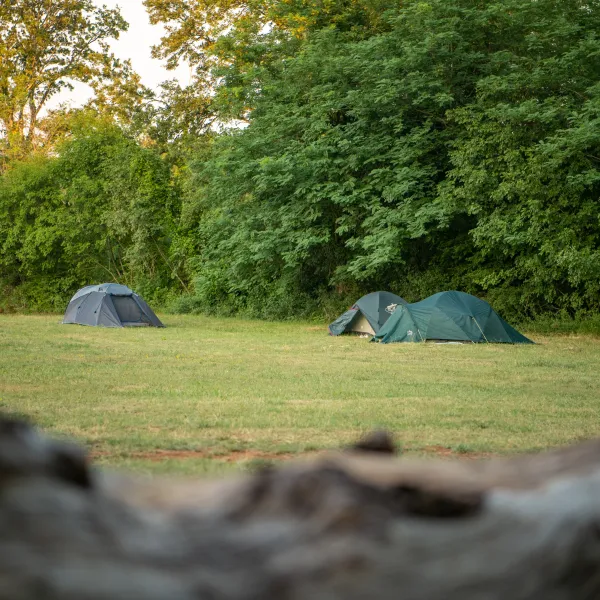 camp-dvor-barban-tl6re
