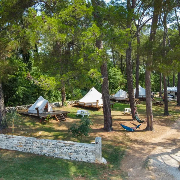 camp-dvor-barban-uemyd