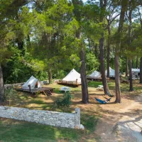 camp-dvor-barban-uemyd
