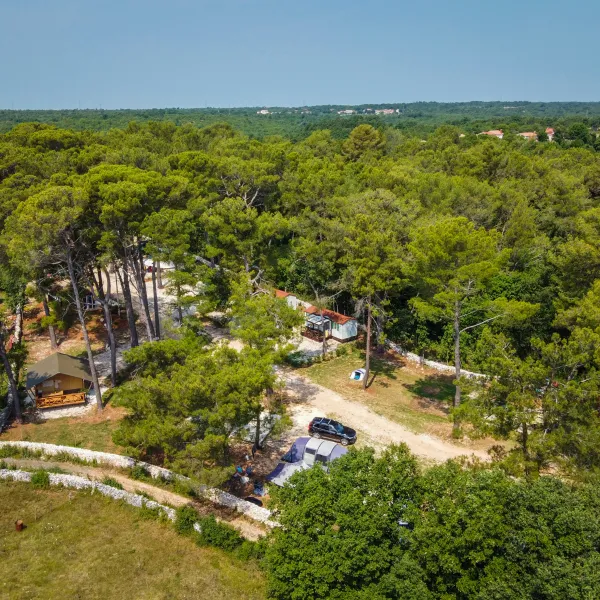 Camp Dvor