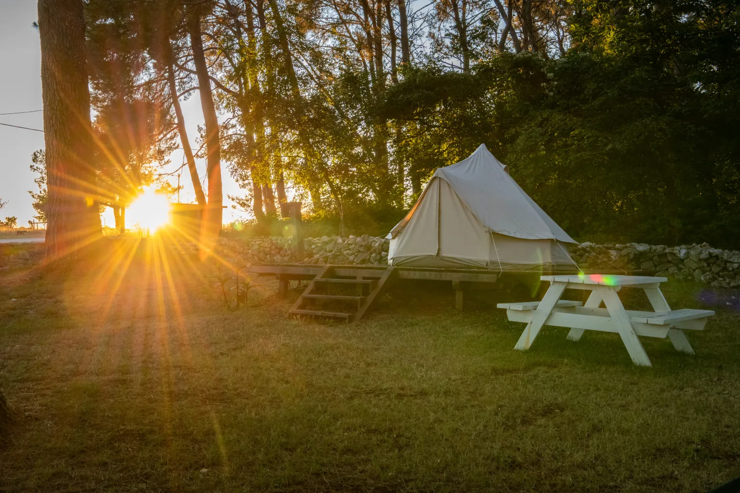 camp-dvor-barban-zongh