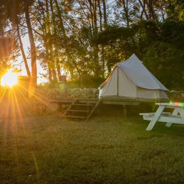camp-dvor-barban-zongh