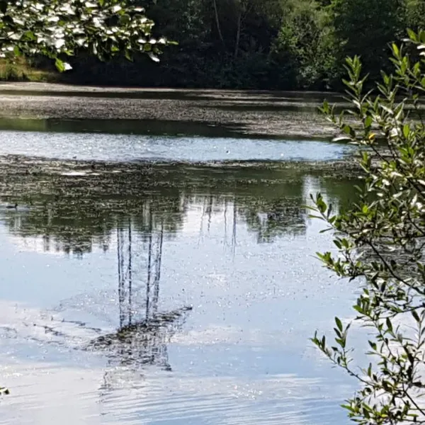 riedsee-camping-donaueschingen-bmgrx