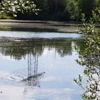 riedsee-camping-donaueschingen-bmgrx