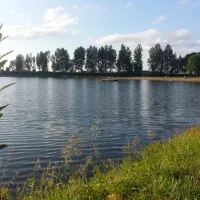 riedsee-camping-donaueschingen-diy3x
