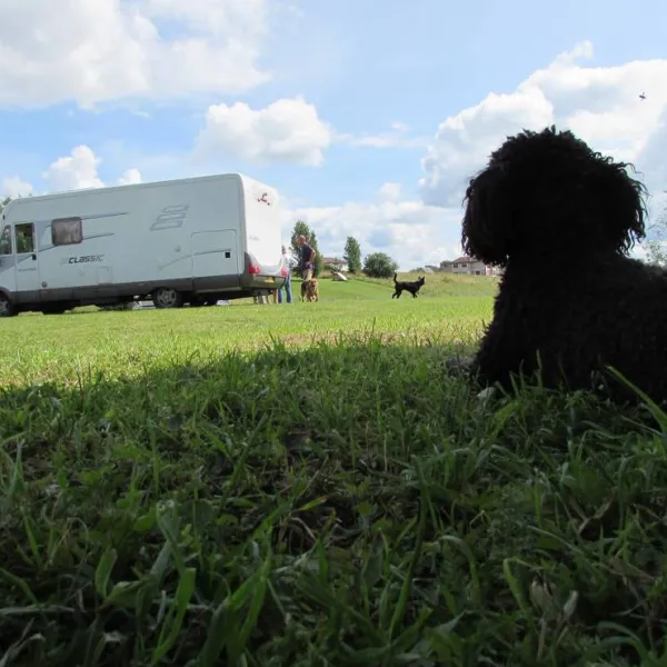 lakeside-camping-sigulda-sigulda-grufy