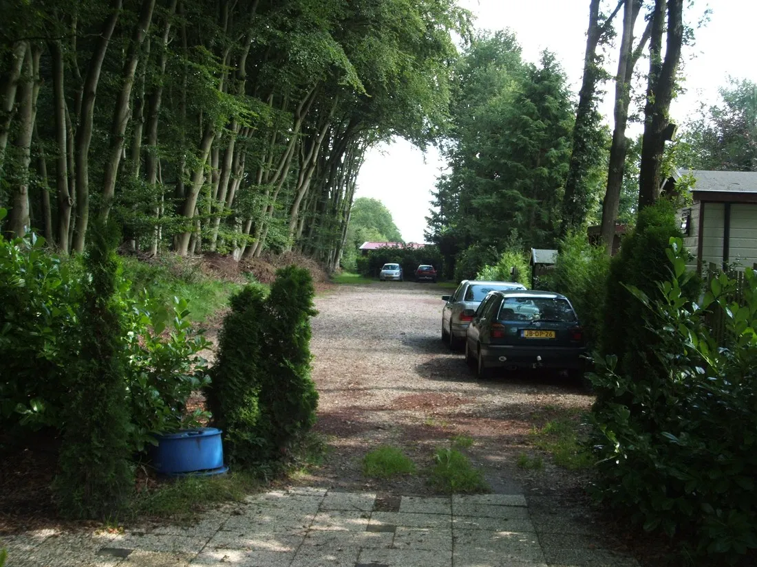 trimunt-marum-2yn3f