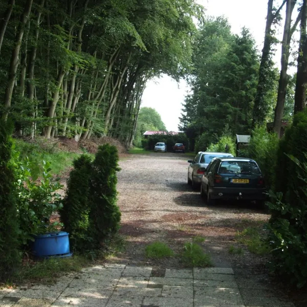 trimunt-marum-2yn3f