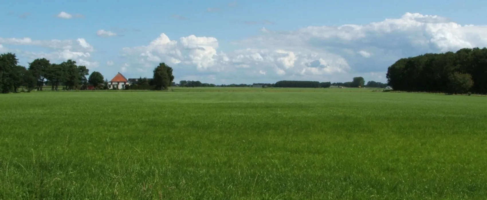 Trimunt