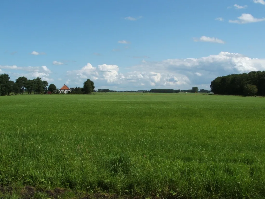 trimunt-marum-sbk2m
