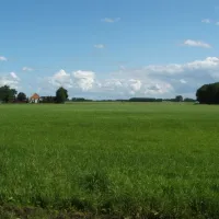 trimunt-marum-sbk2m