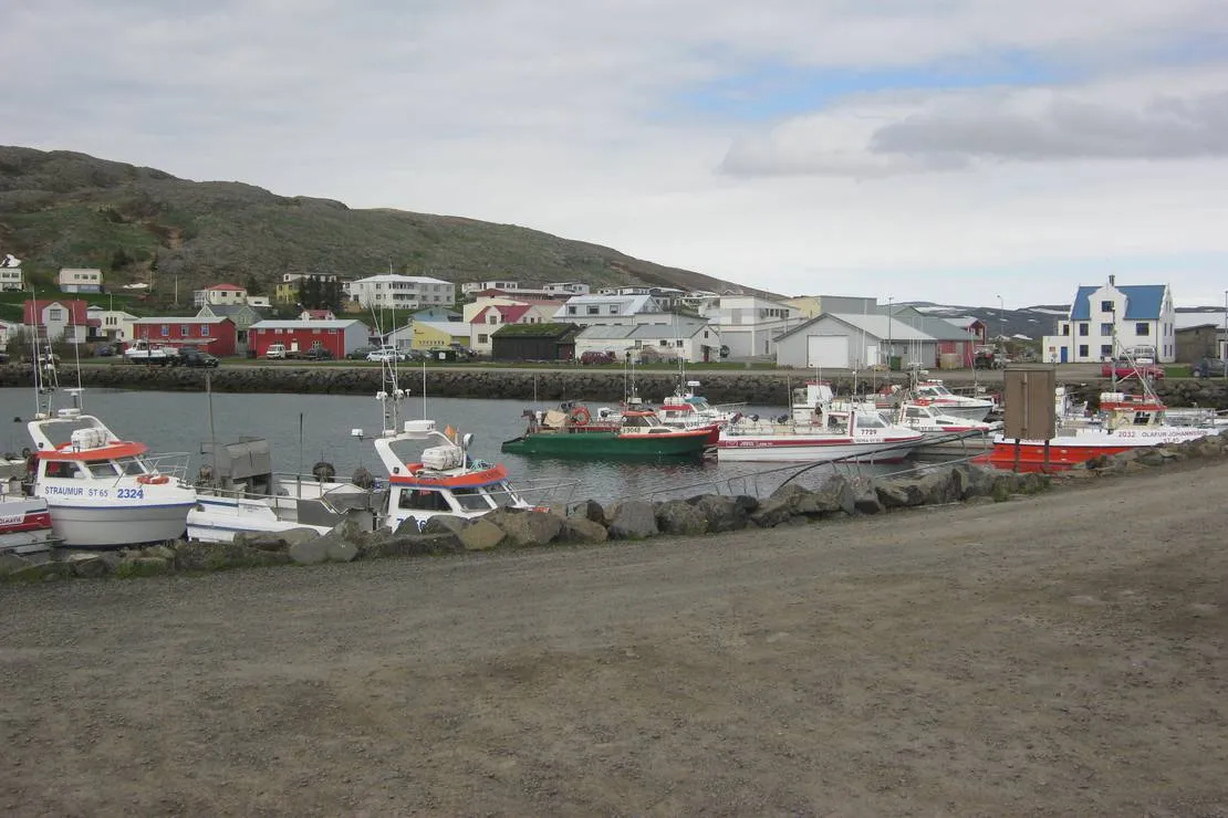tjaldsvaedid-holmavik-holmavik-scuf0