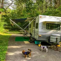 stony-fork-campground-wytheville-greiv