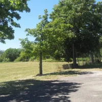 camping-municipal-la-vaivre-cirey-cltv5