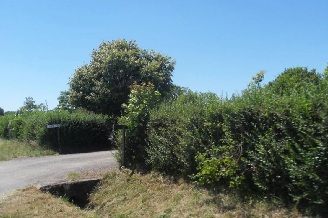 camping-municipal-la-vaivre-cirey-fmpqi