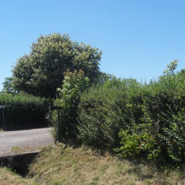 camping-municipal-la-vaivre-cirey-fmpqi