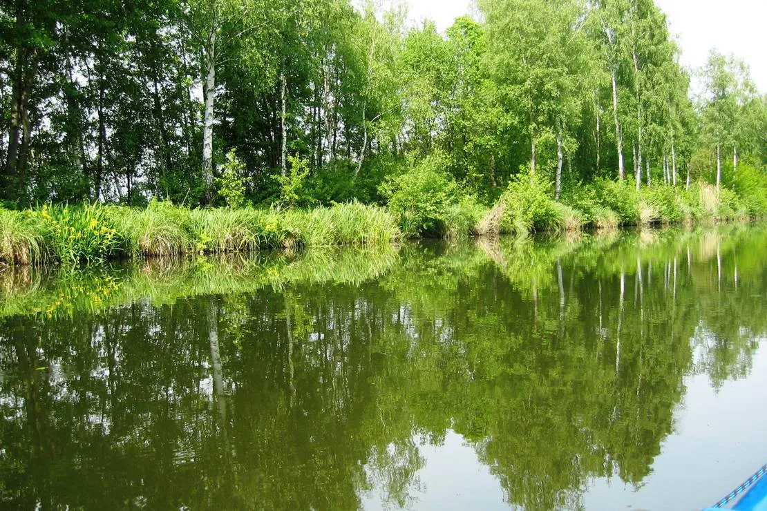 bootsanleger-camping-neu-gohren-neu-gohren-zc8ck