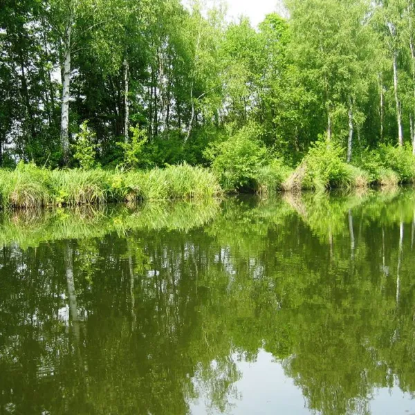 bootsanleger-camping-neu-gohren-neu-gohren-zc8ck
