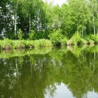 bootsanleger-camping-neu-gohren-neu-gohren-zc8ck