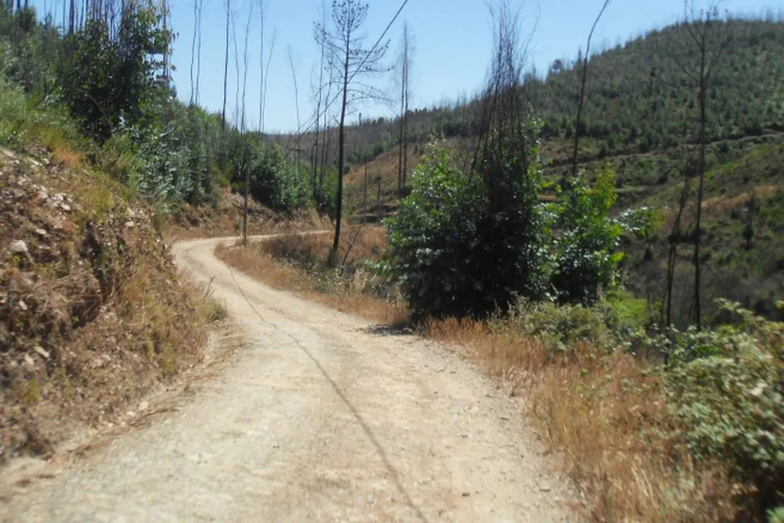 agro-turismo-quinta-da-fonte-figueiro-dos-vinhos-qzlzg