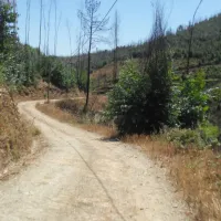 agro-turismo-quinta-da-fonte-figueiro-dos-vinhos-qzlzg