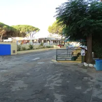 riells-lescala-ioepu