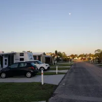 Alligator Park