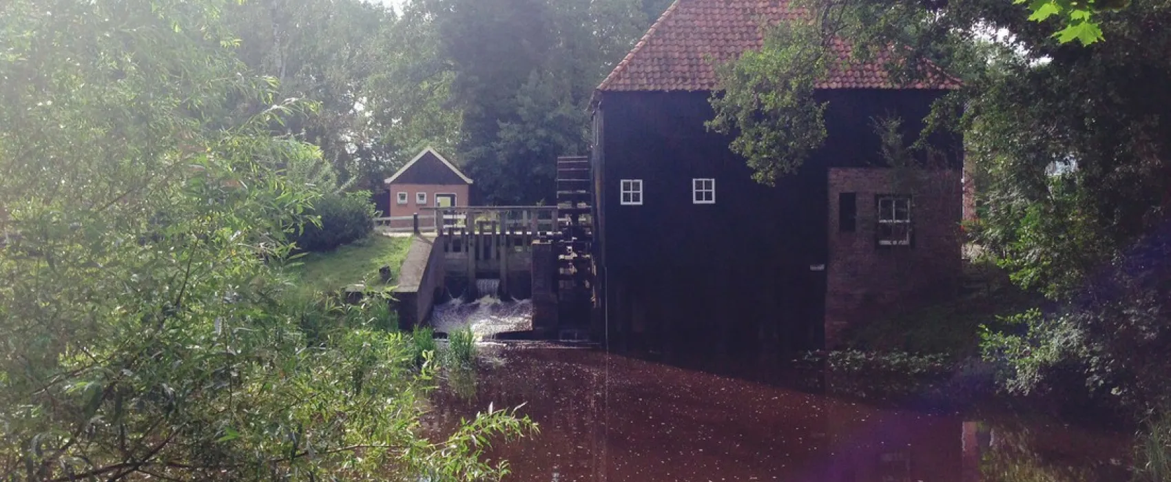 De Molnhofte