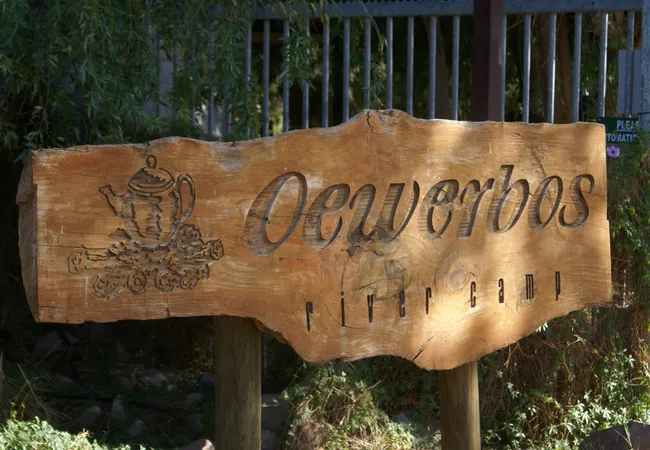 oewerbos-river-camp-rooiwal-vioolsdrift-6foq2
