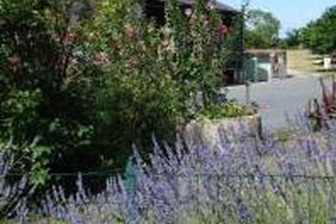 camping-la-riviere-semussac-bpzjn