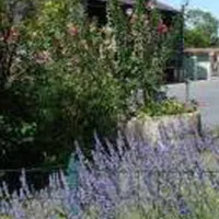 Camping La Rivière