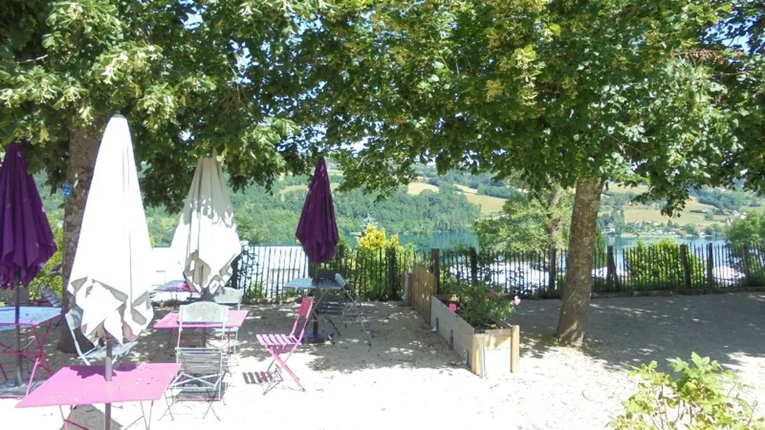 bellevue-montferrat-typzr