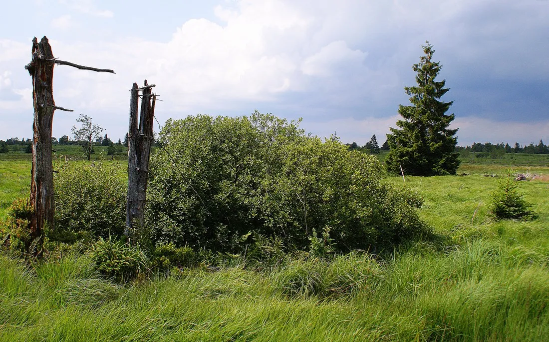 minicamping-snowview-lodge-bullingen-nyrtp