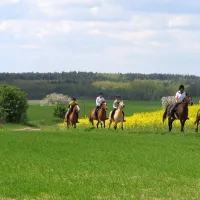 lidmiluv-mlyn-sadek-u-policky-1lly4