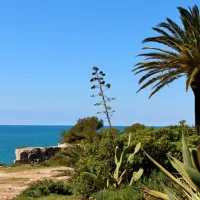relax-sol-torredembarra-kor86
