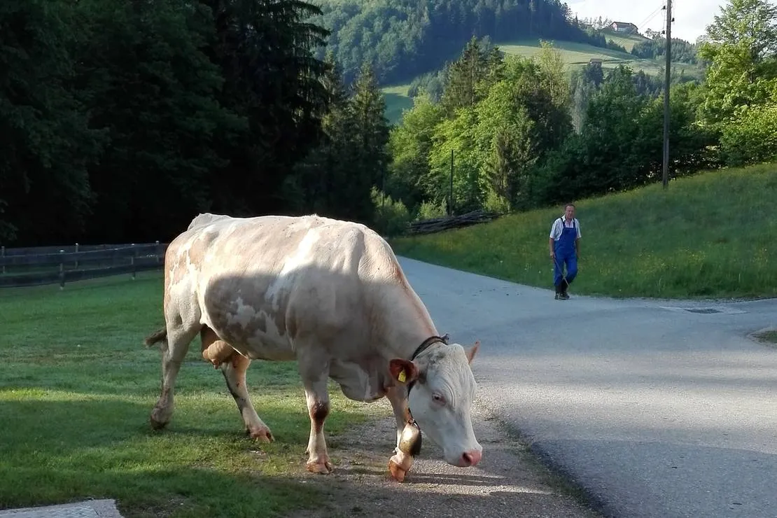 camping-unterbuchschachner-maria-neustift-5yirv