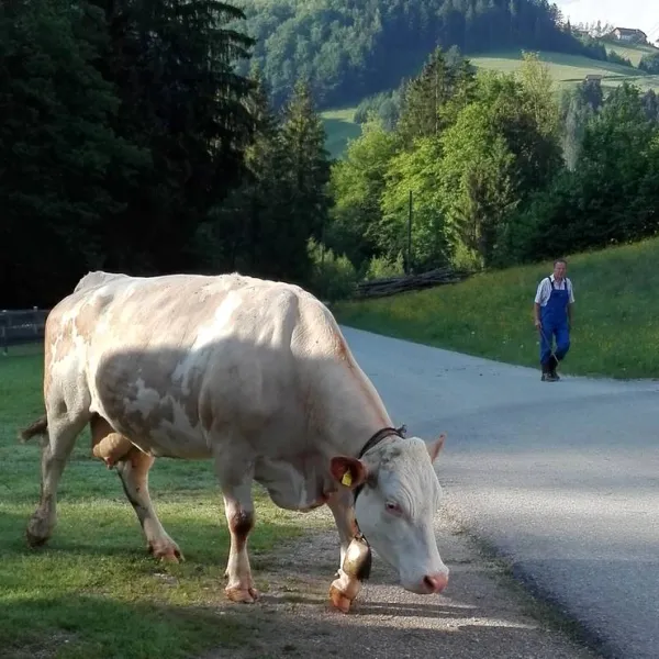 camping-unterbuchschachner-maria-neustift-5yirv