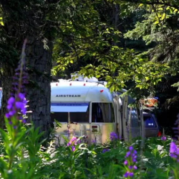 discovery-campground-kenai-u60cn