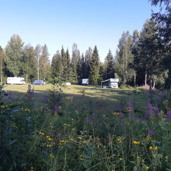 Wildlife Sweden Camp Ängra