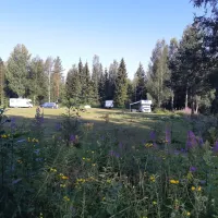 Wildlife Sweden Camp Ängra
