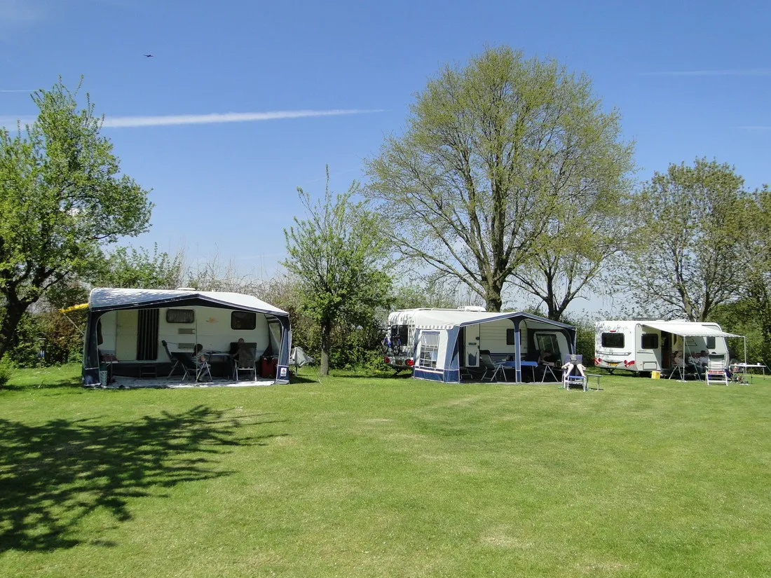 t-bakhuis-wijlre-2fjnd
