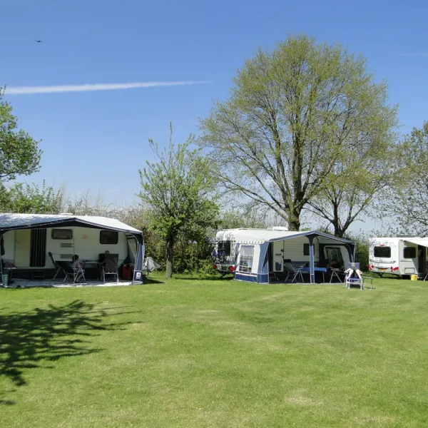 t-bakhuis-wijlre-2fjnd